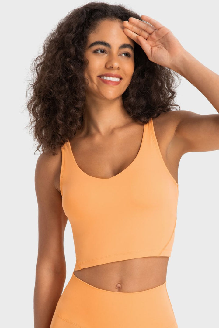 Deep V-Neck Crop Sports Bra